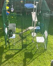 Birds eye view of the freestyle cat tree set up in a catio.