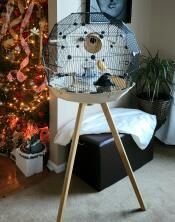 The most beautiful cage!