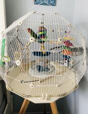 Une cage géniale que j'adore et que mon inséparable adore aussi !!! 