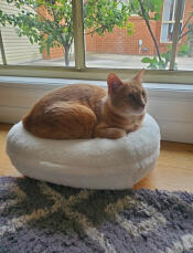 Great cat bed