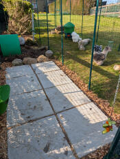 Chicken patio 