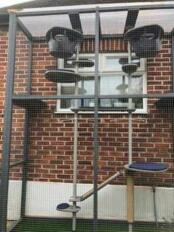 Outdoor Cat Tree Steup by Susan Maclean