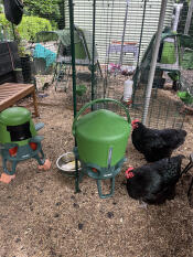 Stylish, stable, and pest-proof