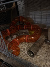 Tolle robuste tunnel