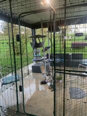 An outdoor cat tree installed inside a large enclosure