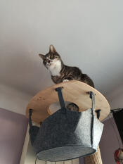 I can see everything 