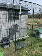 An outdoor cat tree set up in a catio