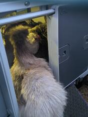 Fonctionne à merveille 