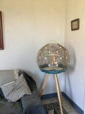 Fantastic. Easy to clean . My budgie loves it . It looks very beautiful 