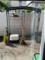 Tenere saldamente la copertura per fornire ombra e riparo.