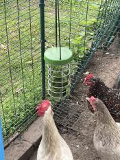 Bob and weave, bob and weave. 