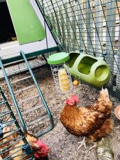 Leckerbissen auf der uhr!