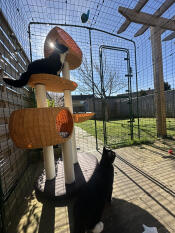 Quel excellent système !