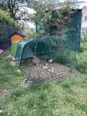 Parfait pour mon lapin et mon cochon d’Inde 