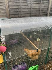 Perfekt für den Cube lauf. 