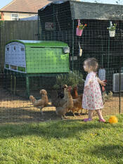 Happy hens