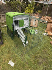 Eglu Cube med 2 m løb og Autodoor! masser af Omlet kasser 