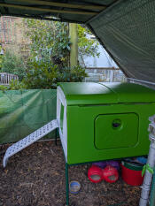 A new home for my chooks