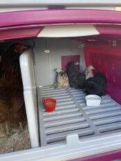 Safe, secure and easier to clean 