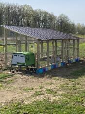 A green chicken coop connected to a large enclosure in a yard