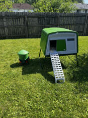 Eglu Cube, freshly built in just a few hours!
