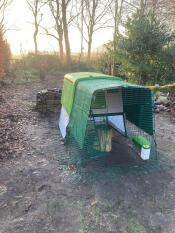 A green plastic coop with a run in a wintery garden