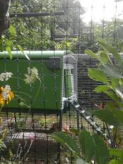 Great, they have thought it through