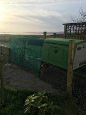 Five star accommodation!