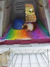 Cozy hutch for my piggies