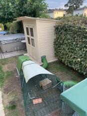 The green Eglu Go rabbit hutch with 4m run set up in a garden