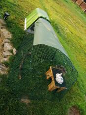 Toujours ce clapier à lapins