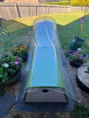 Nos cochons ne veulent plus rentrer à l'intérieur maintenant !