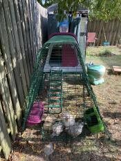 Our 2nd Omlet Eglu Coop Purchase