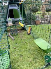 Eglu Go Up with 1m run extension, Cube Feeder, Chicken Swing, Windbreak, Caddi Treat Holder, Pendant Peck Toy
