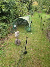 Versatile silk cuckoo net and pegs