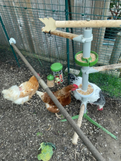 Es ist ein tolles spielzeug!