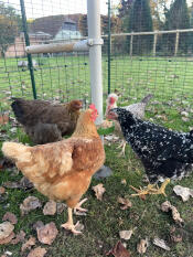 Teilen bedeutet fürsorge!