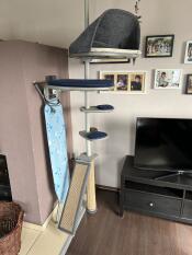 An indoor cat tree in a room