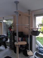 Freestyle Indoor Cat Tree set up in a living room.