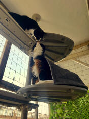 De bedste ting i livet deler du med dine venner 