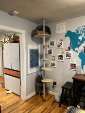 A cat enjoying the den of his indoor cat tree