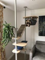 Een kat die de kamer in de gaten houdt vanuit de mand van zijn binnenkattenboom