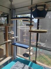 The Indoor Freestyle Cat tree set up with various accessories.