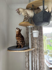 Love it love it love it