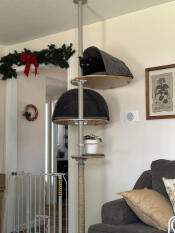 Fantastic modern cat tree