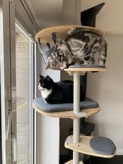 Perfect for looking into the garden