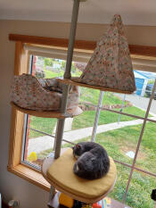 Absolutely brilliant product