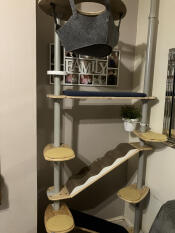 The Explorer Kit freestyle cat tree set up with various accessories.