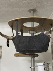 The picture says it all!!