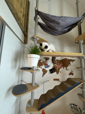 Hervorragender kratzbaum und optisch sehr ansprechend!